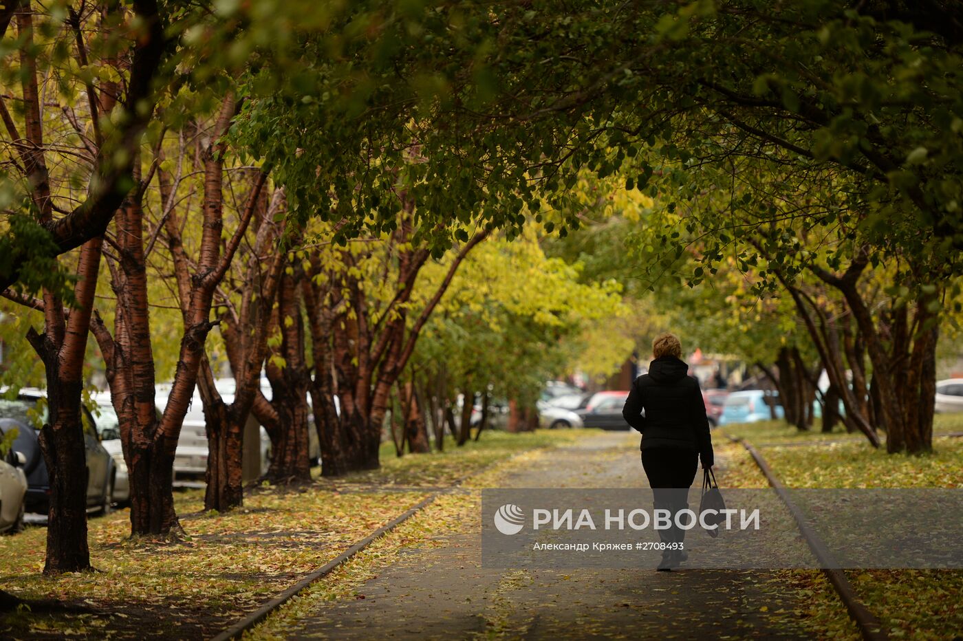 Осень в Сибири