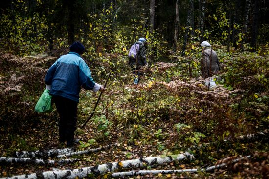 Сбор грибов в Новгородской области