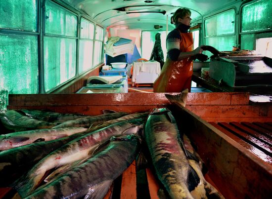 Барабашевский лососевый рыбоводный завод