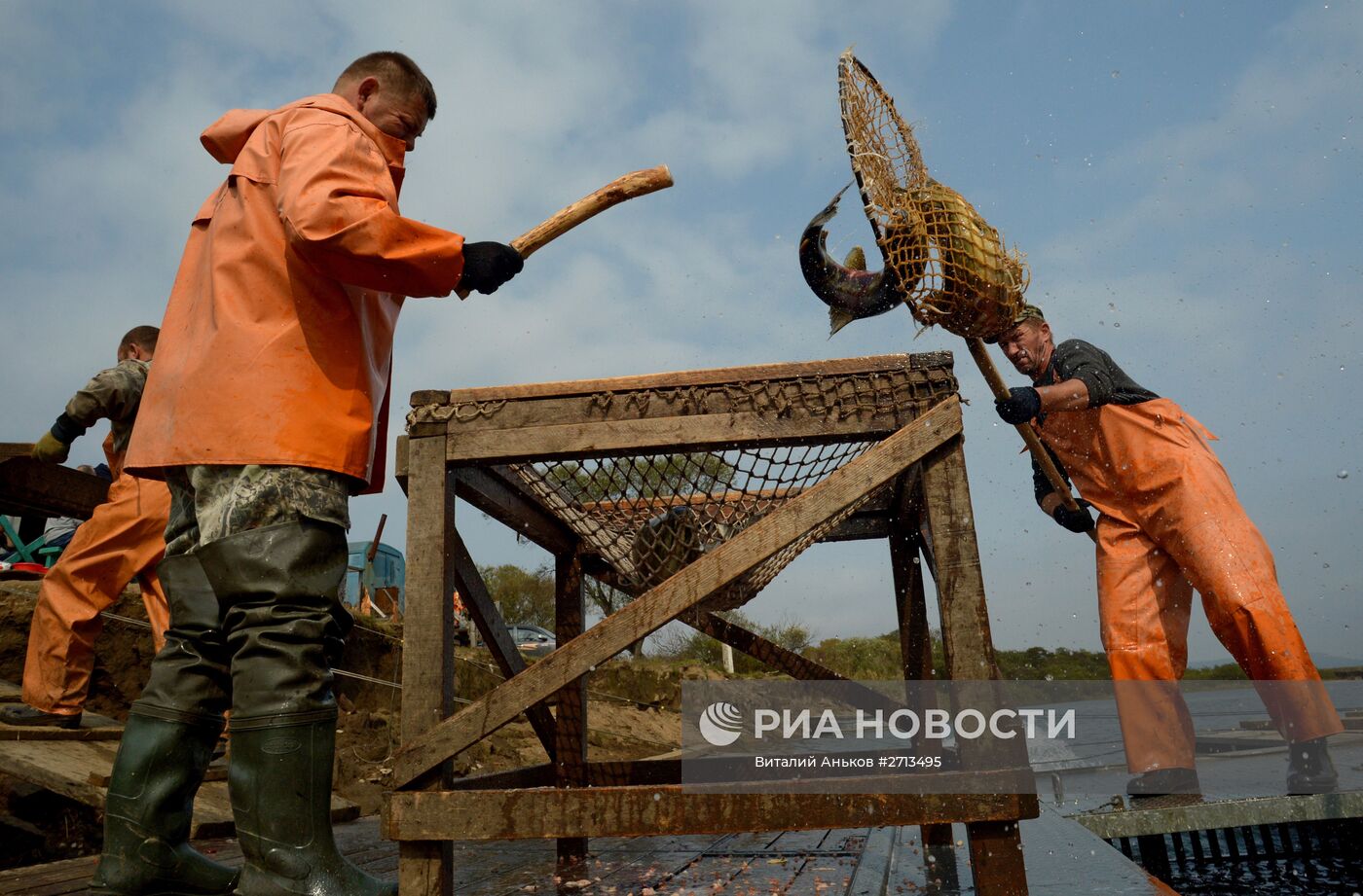 Барабашевский лососевый рыбоводный завод