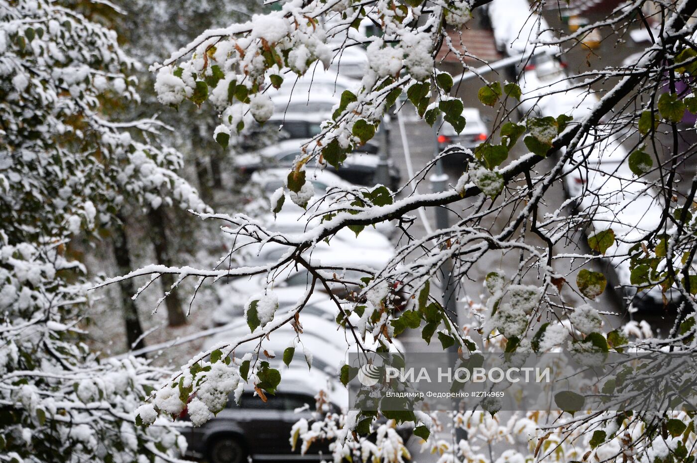 Снег в Москве