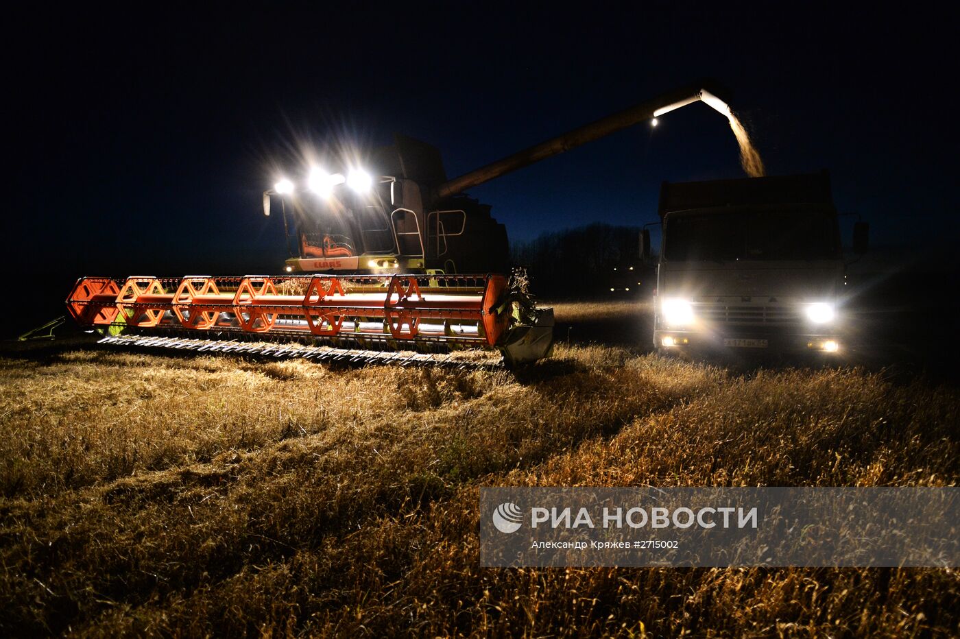 Уборка урожая зерновых в Новосибирской области