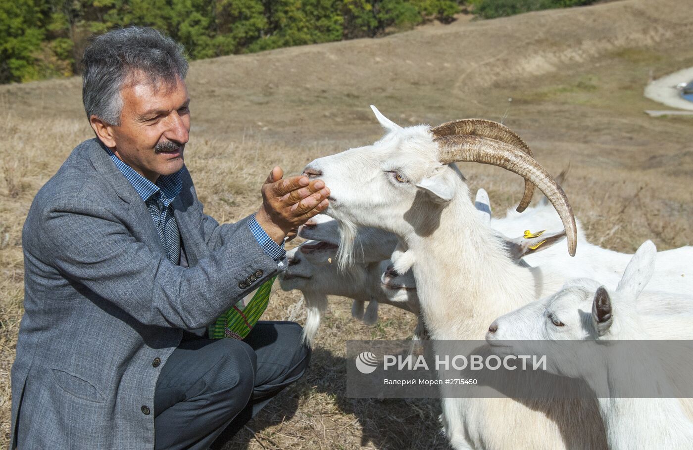 Фермерское хозяйство "Альфа" в Белгородской области