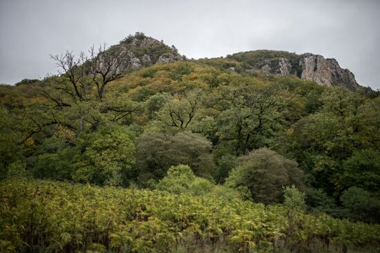 Нагорный Карабах