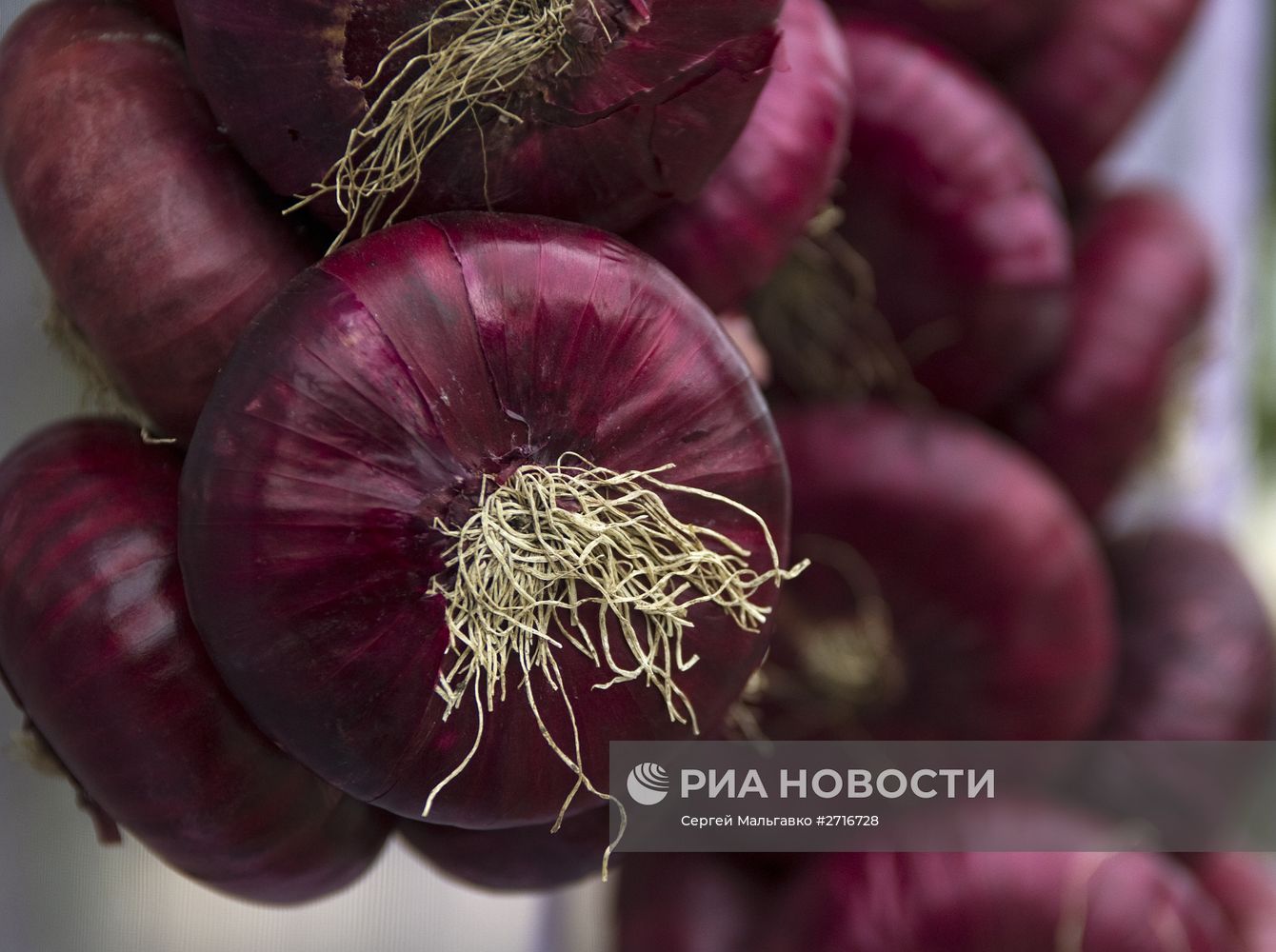 Фестиваль Ялтинского лука в Крыму