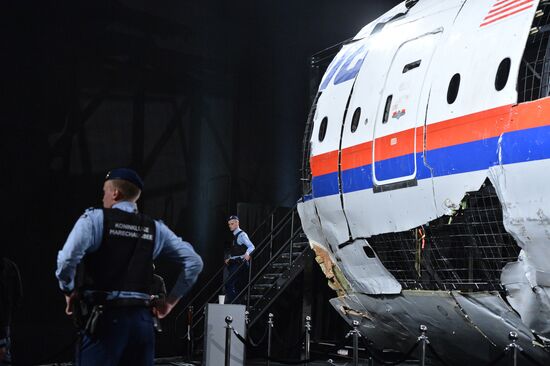 Доклад Совета безопасности Нидерландов по причинам крушения Boeing 777