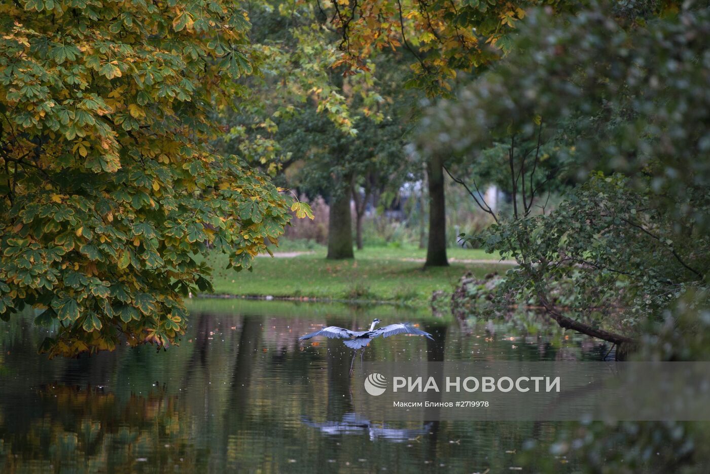 Города мира. Амстердам