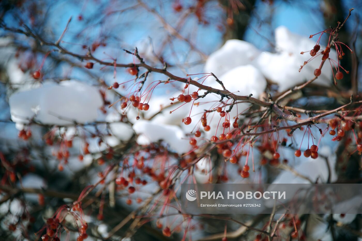 Снег в Чите