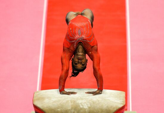 Спортивная гимнастика. Чемпионат мира. Пятый день