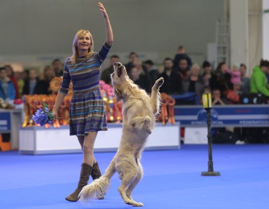 Международная выставка собак "Россия-2015"