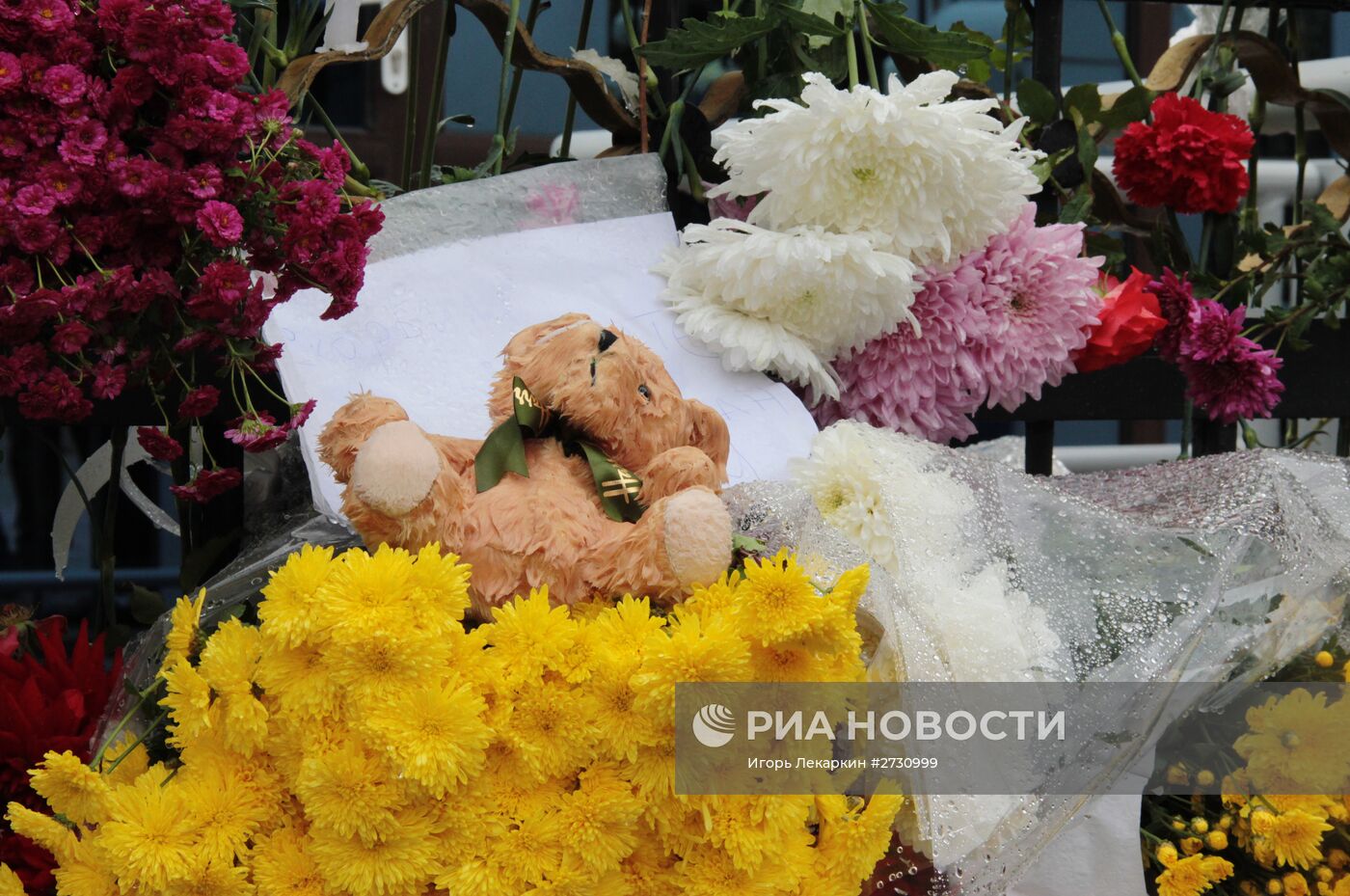 Цветы в память о жертвах крушения Airbus A321 у посольств РФ в зарубежных странах