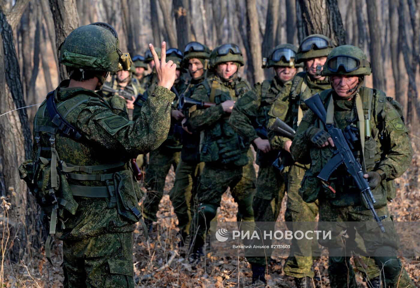 Комплексные тактические учения артиллерийских и разведывательных подразделений 83-й бригады ВДВ в Приморском крае