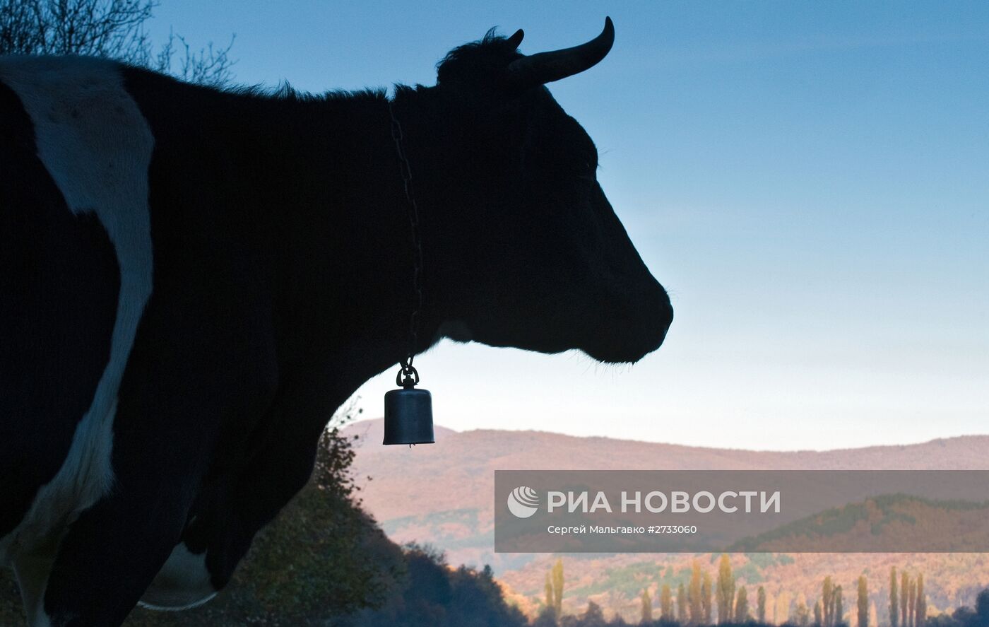 Село Счастливое в Крыму