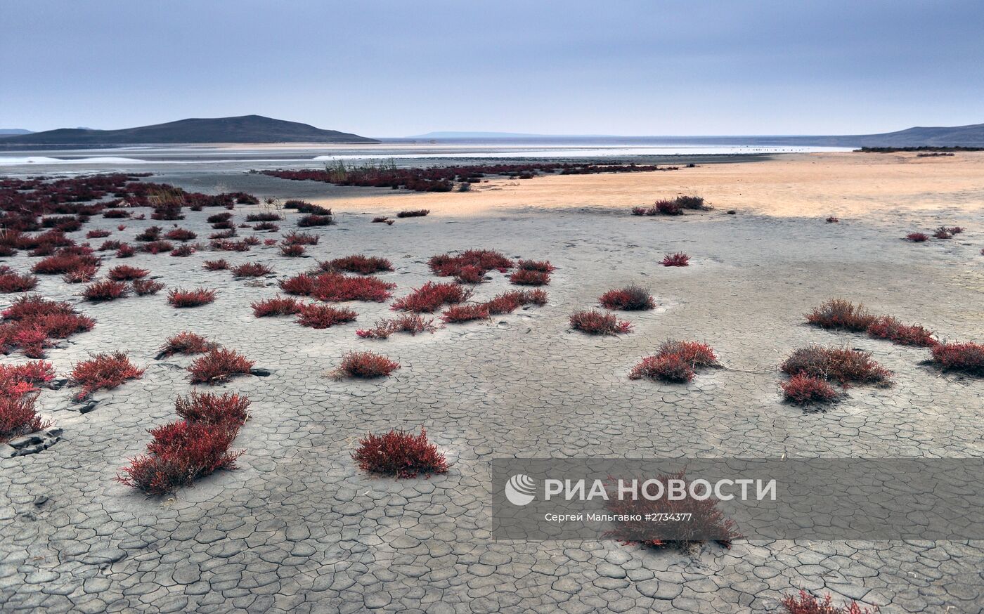 Кояшское озеро в Крыму