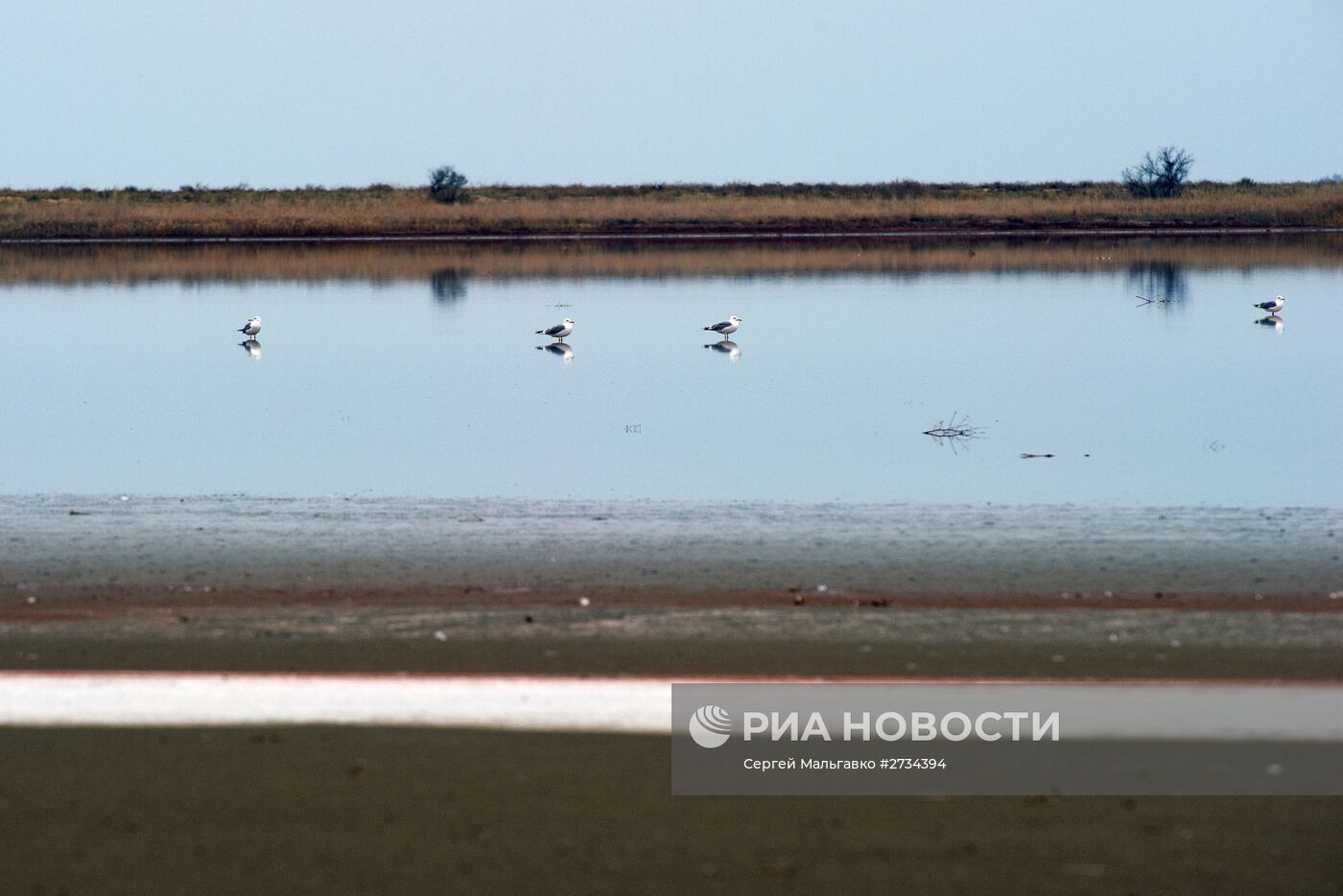 Кояшское озеро в Крыму