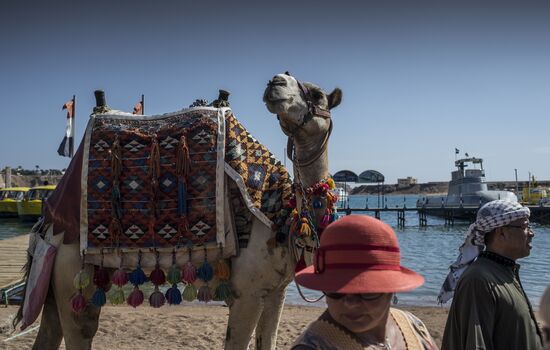 Сокращение числа туристов в Египте