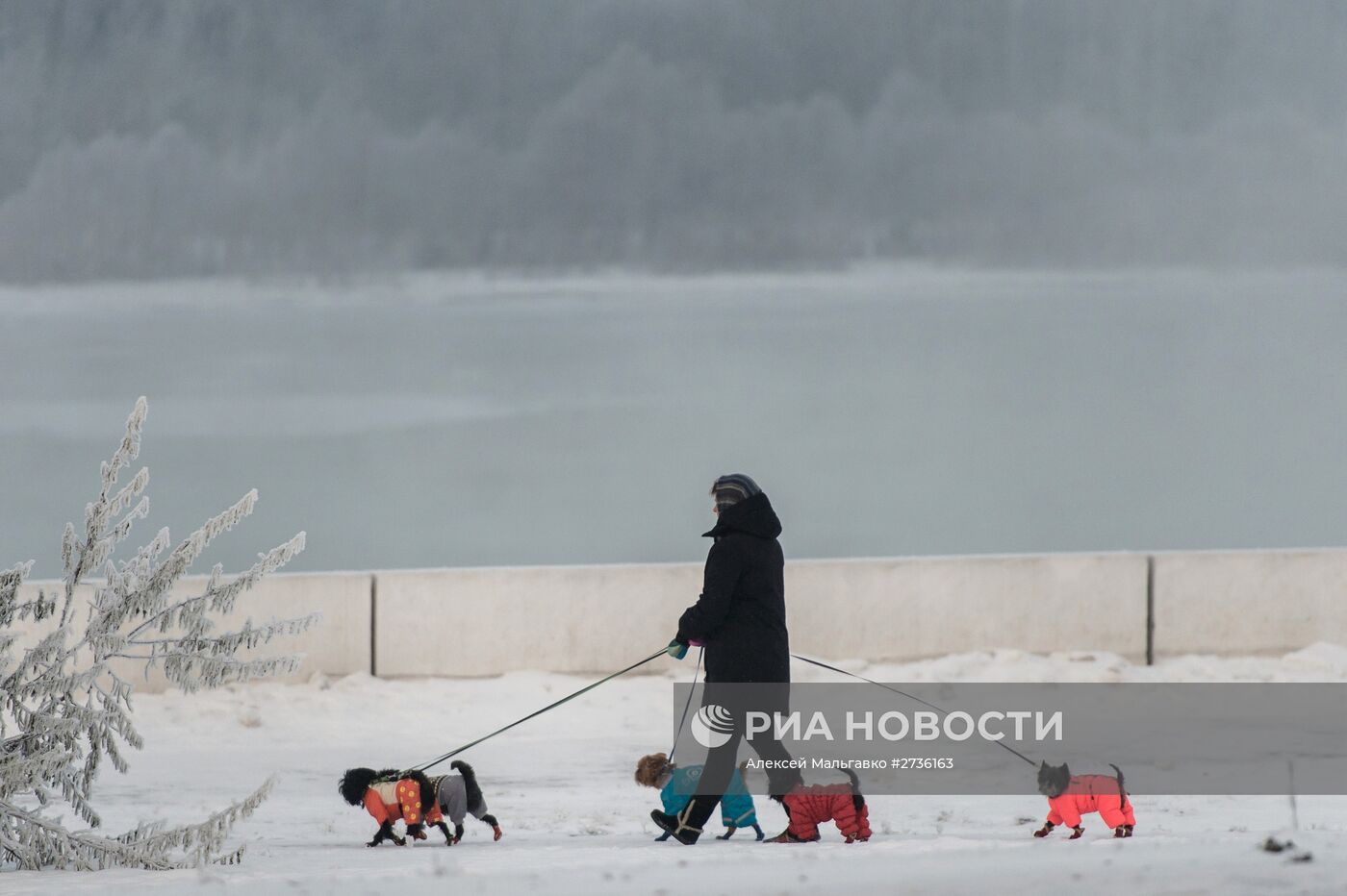 Города России. Омск