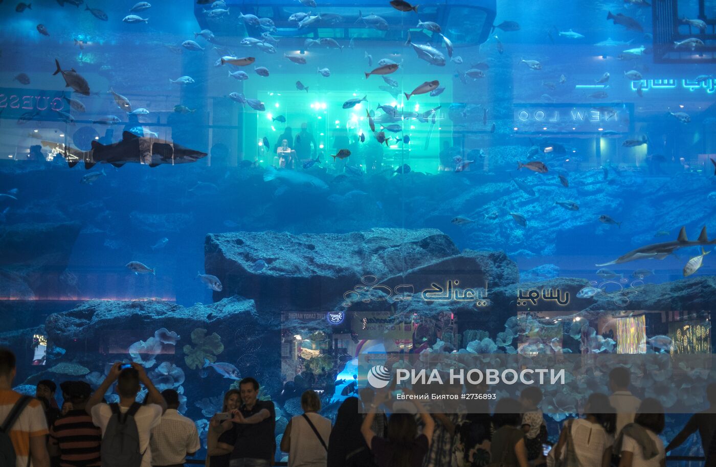 Дубайский Океанариум и подводный зоопарк