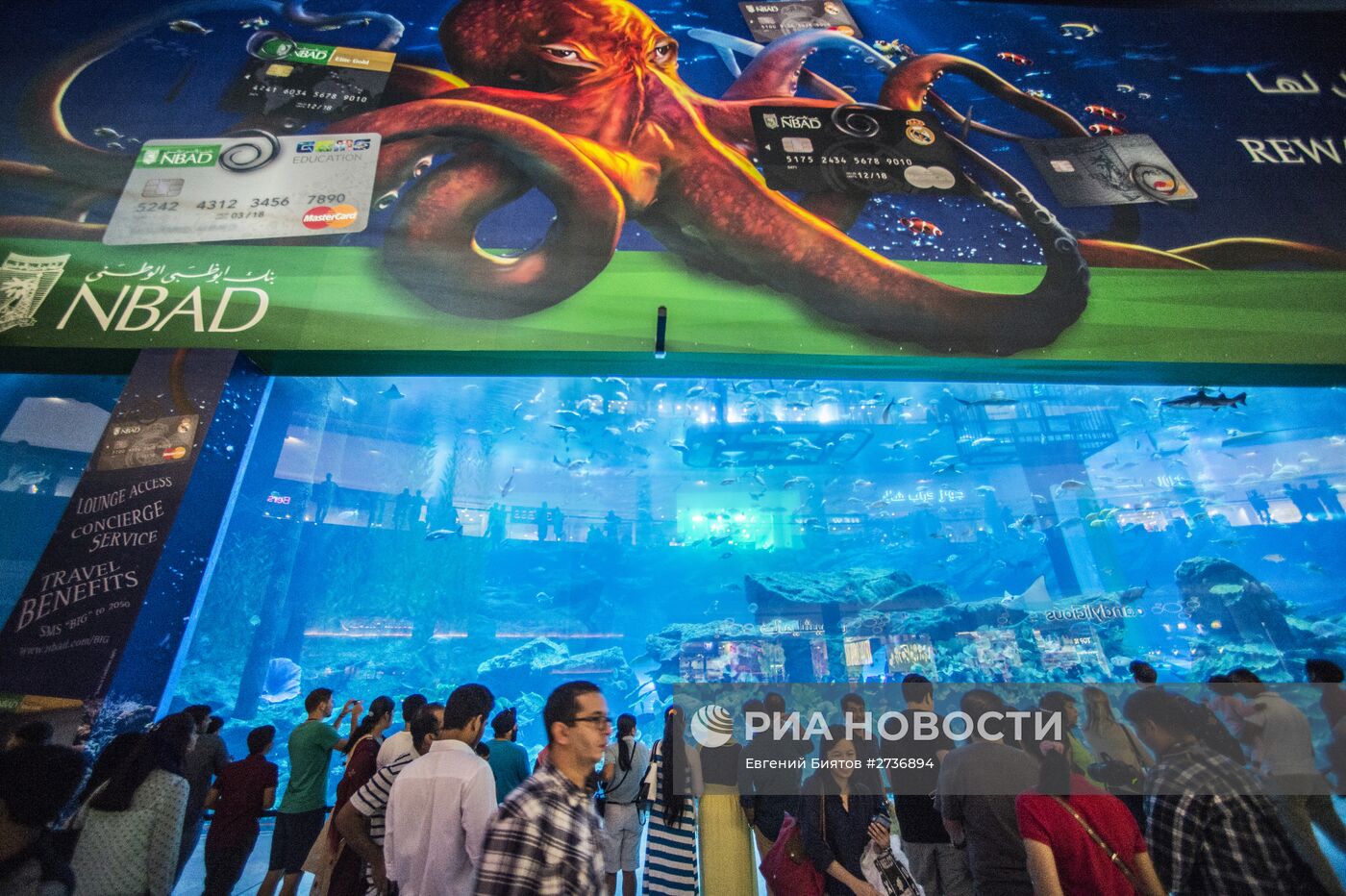 Дубайский Океанариум и подводный зоопарк