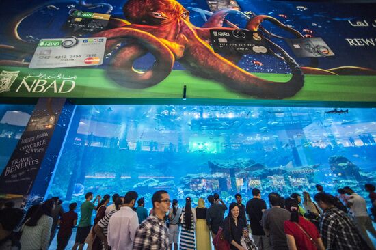 Дубайский Океанариум и подводный зоопарк