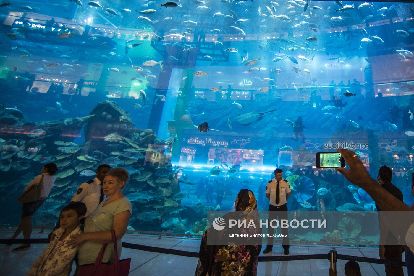 Дубайский Океанариум и подводный зоопарк