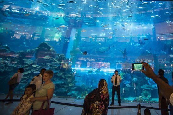 Дубайский Океанариум и подводный зоопарк