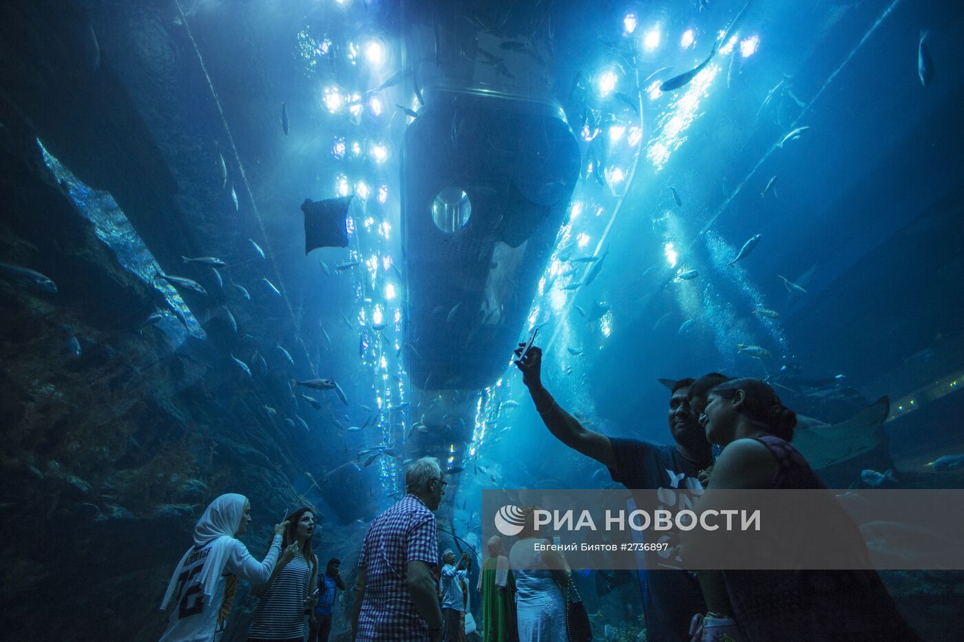 Дубайский Океанариум и подводный зоопарк