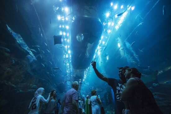 Дубайский Океанариум и подводный зоопарк