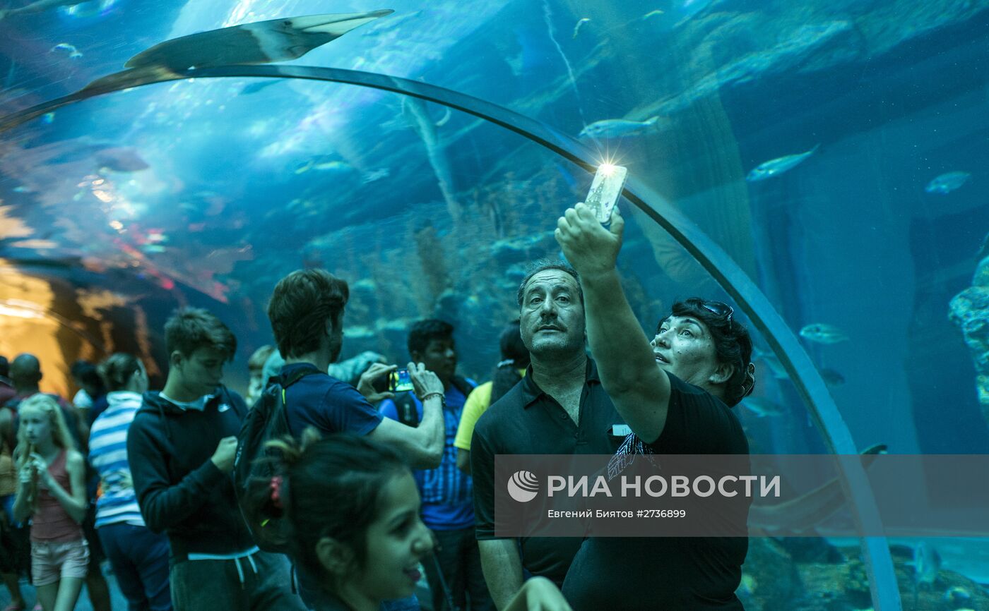 Дубайский Океанариум и подводный зоопарк