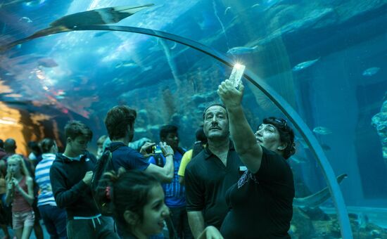 Дубайский Океанариум и подводный зоопарк