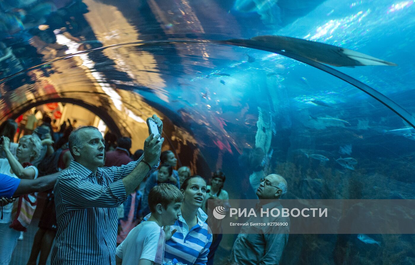 Дубайский Океанариум и подводный зоопарк