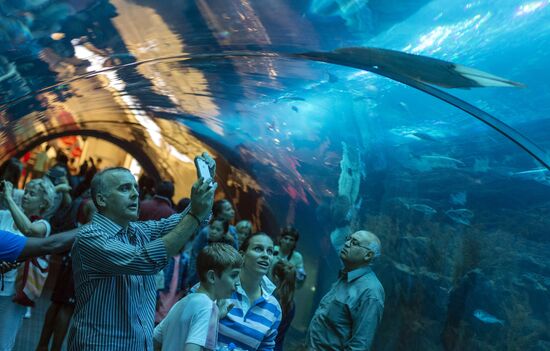 Дубайский Океанариум и подводный зоопарк