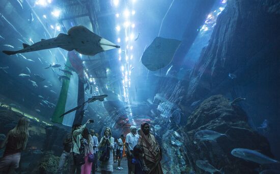Дубайский Океанариум и подводный зоопарк