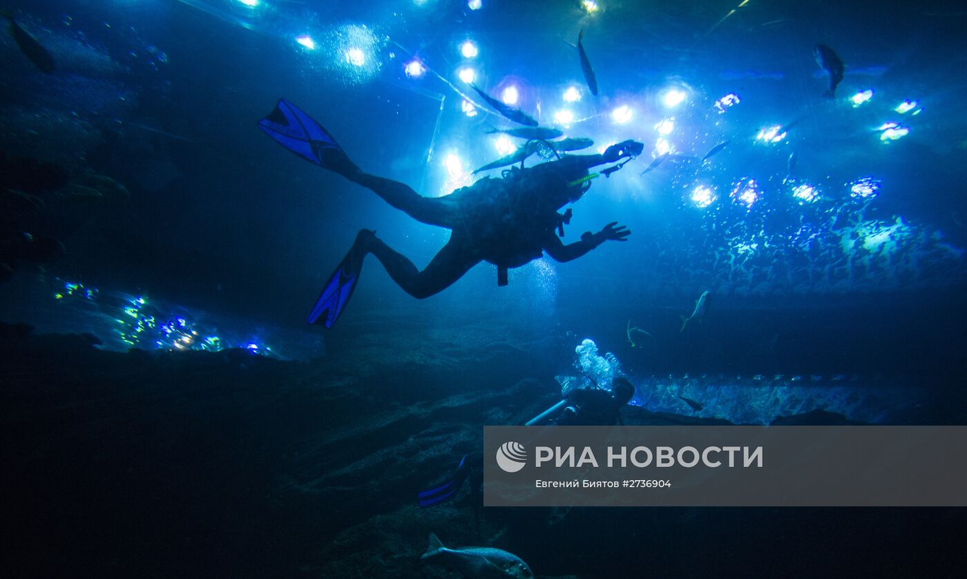 Дубайский Океанариум и подводный зоопарк