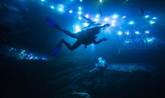 Дубайский Океанариум и подводный зоопарк