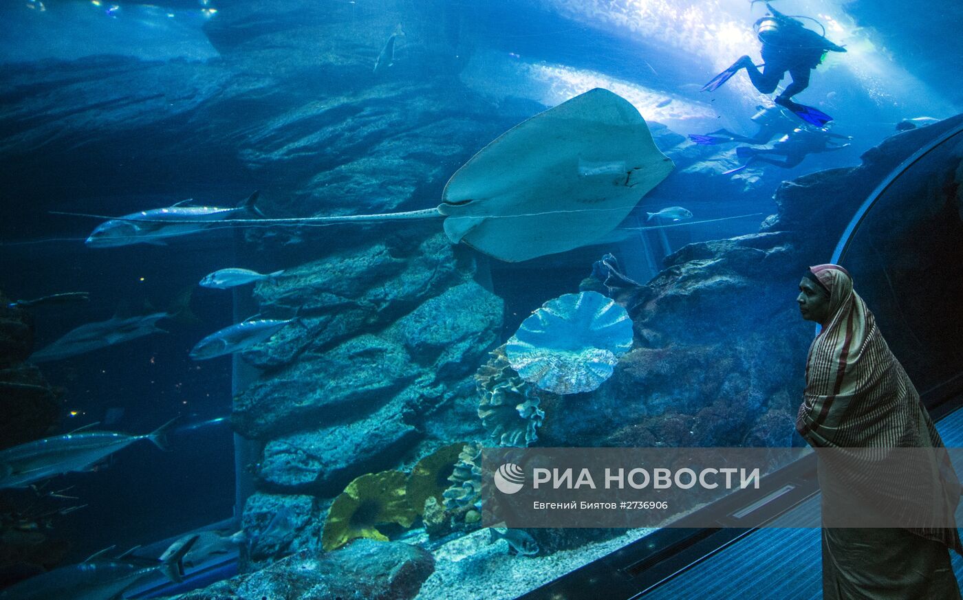 Дубайский Океанариум и подводный зоопарк