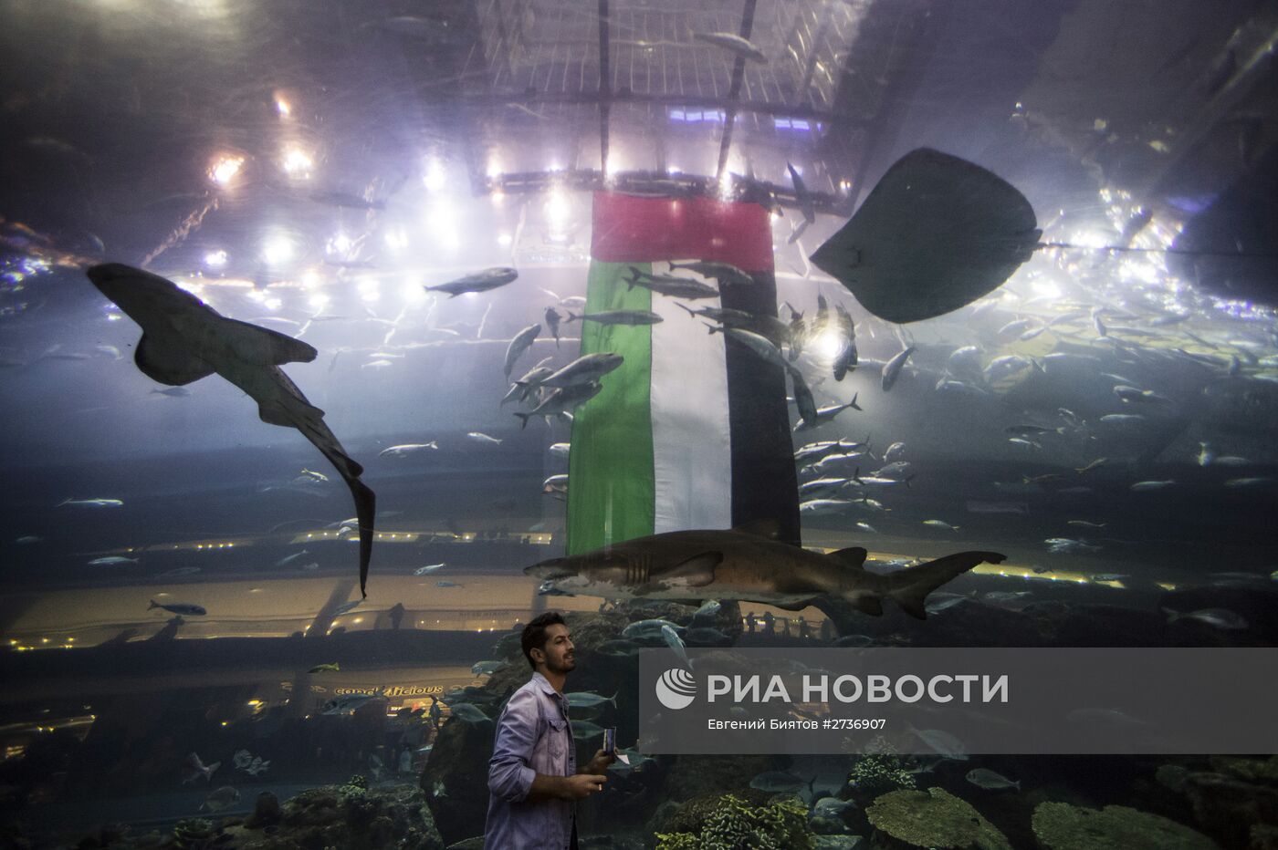 Дубайский Океанариум и подводный зоопарк