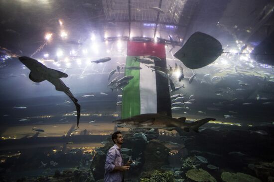 Дубайский Океанариум и подводный зоопарк