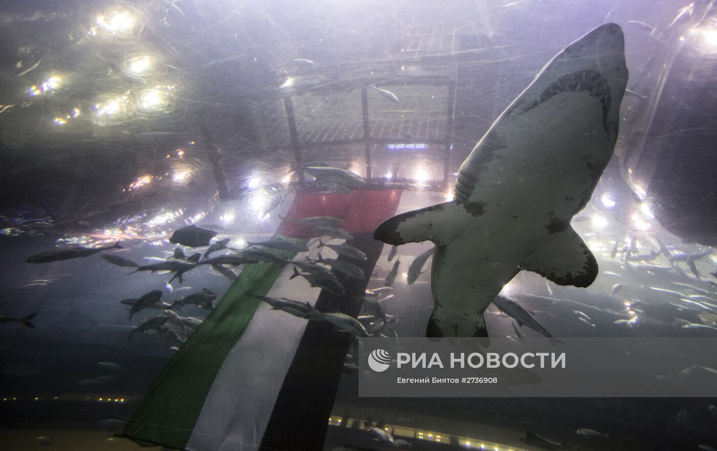 Дубайский Океанариум и подводный зоопарк