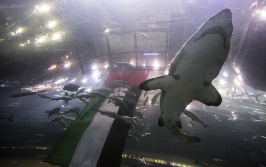 Дубайский Океанариум и подводный зоопарк