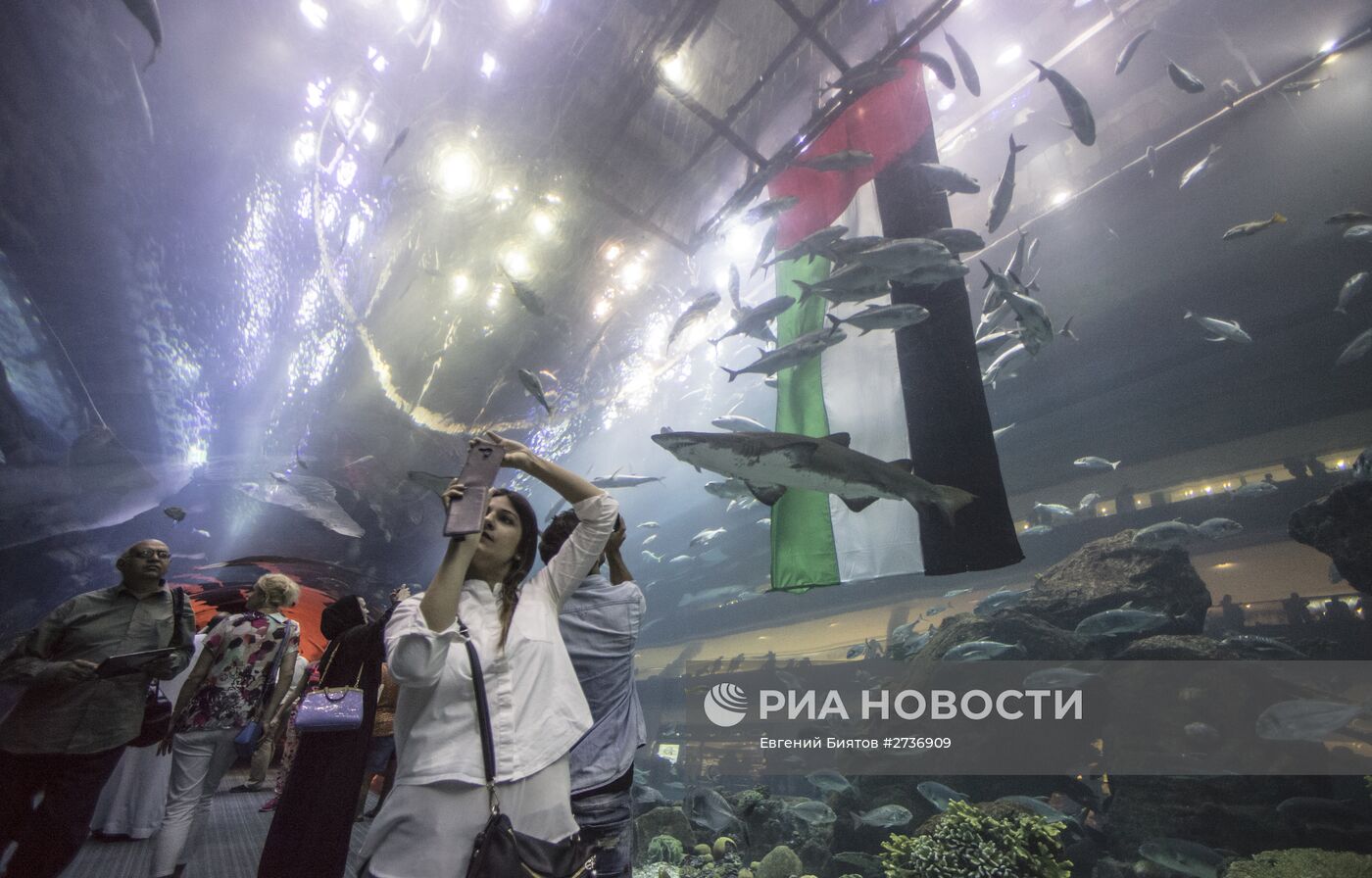 Дубайский Океанариум и подводный зоопарк