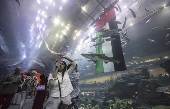 Дубайский Океанариум и подводный зоопарк