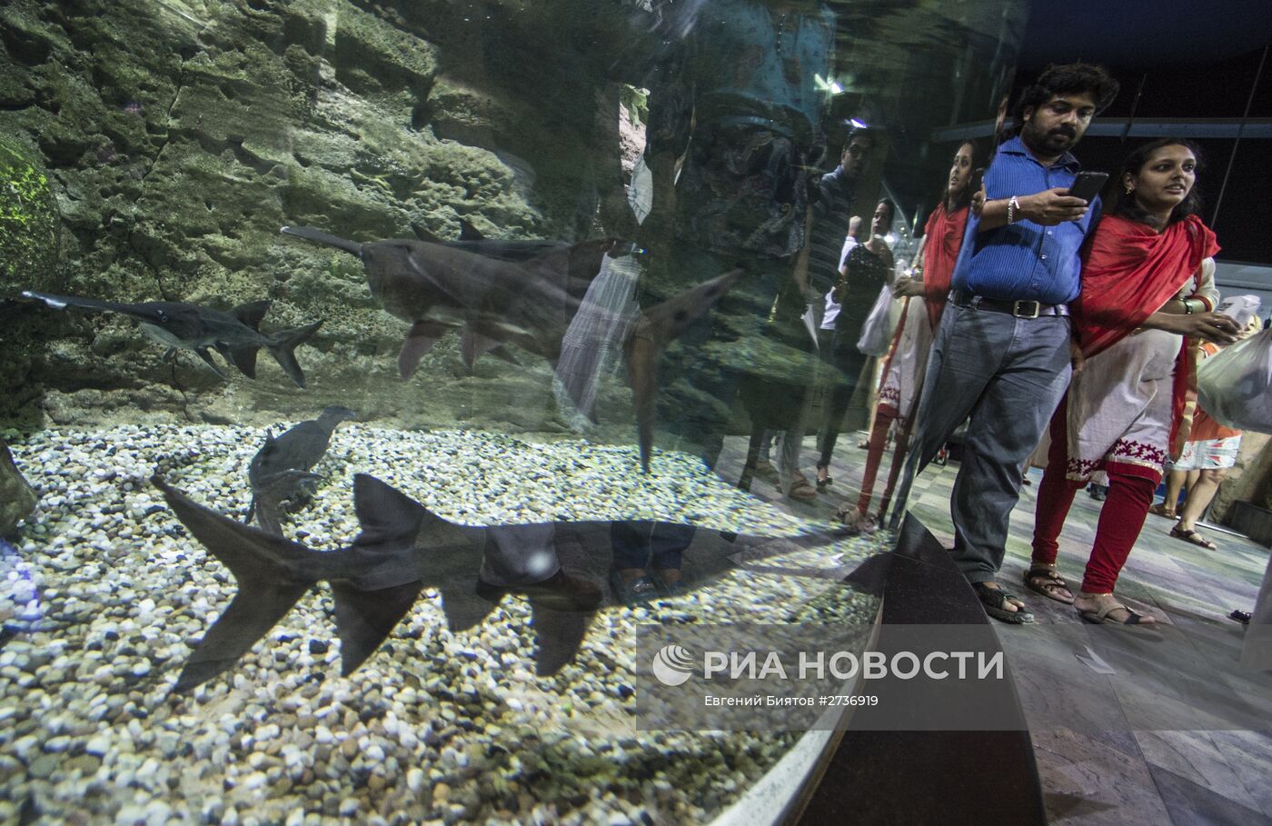 Дубайский Океанариум и подводный зоопарк