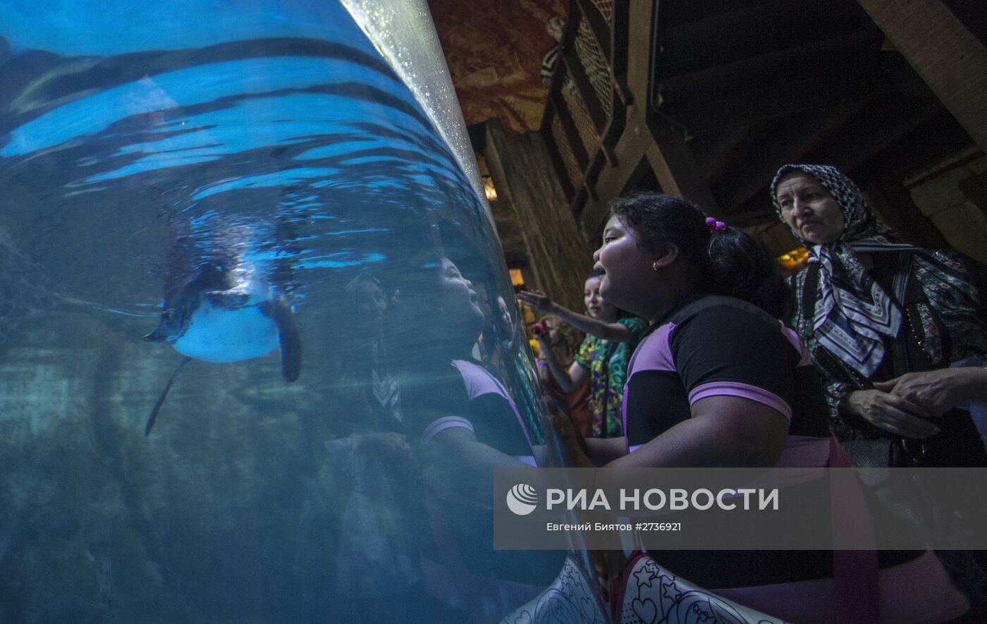 Дубайский Океанариум и подводный зоопарк