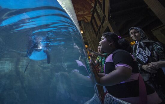 Дубайский Океанариум и подводный зоопарк