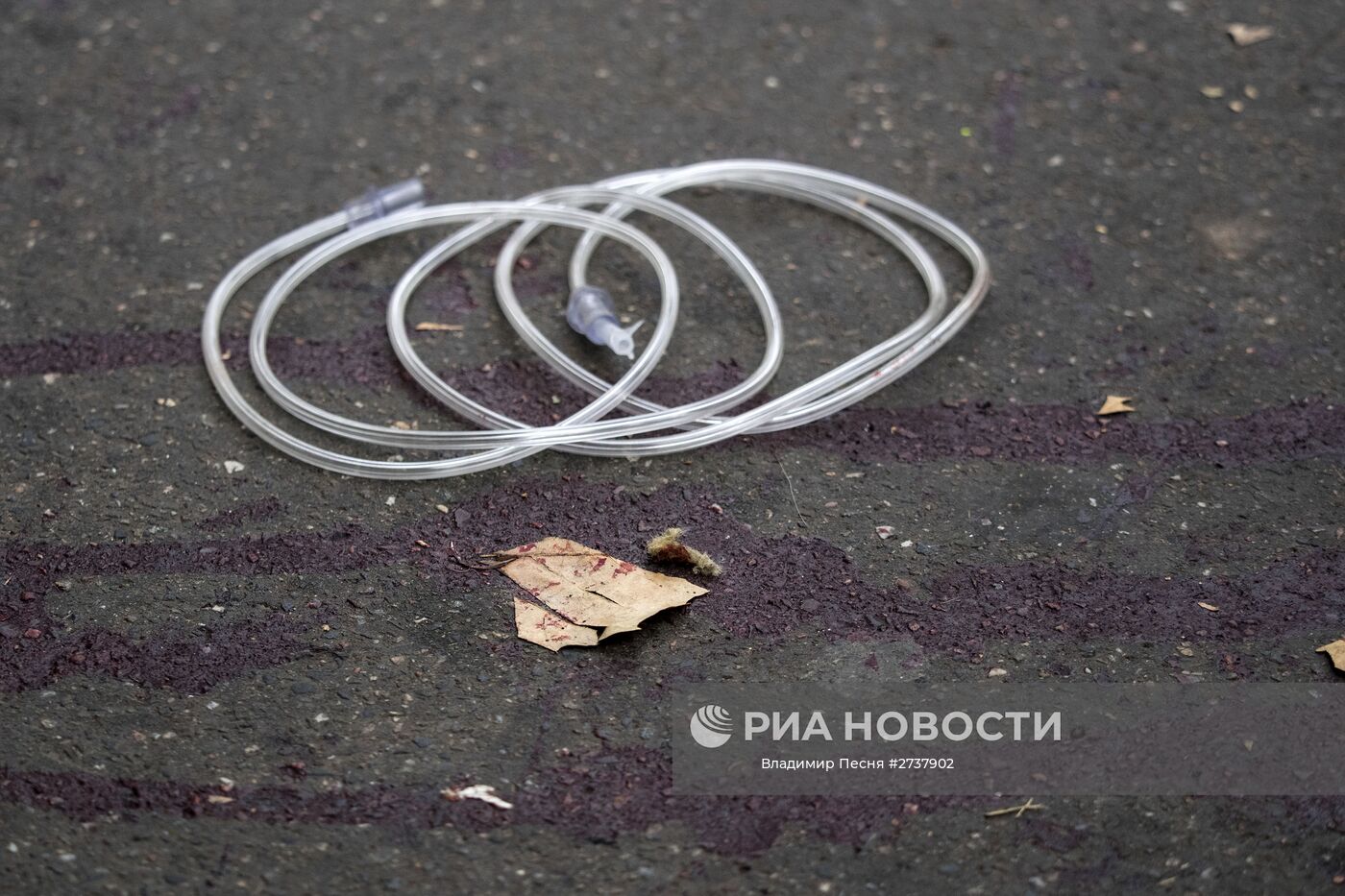 Кровь на асфальте около театра "Батаклан" в Париже, где произошел один из серии терактов. Место: Франция, Париж. Автор: Владимир Песня/РИА Новости. Ситуация в Париже после серии терактов