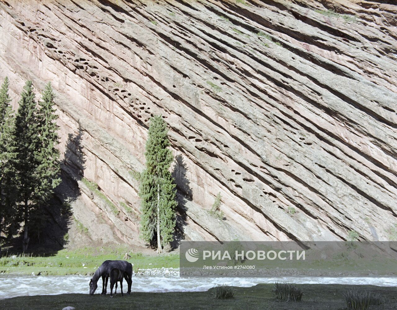 Иссык-Кульский государственный заповедник