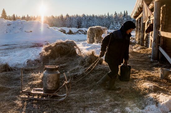 Регионы России. Омская область