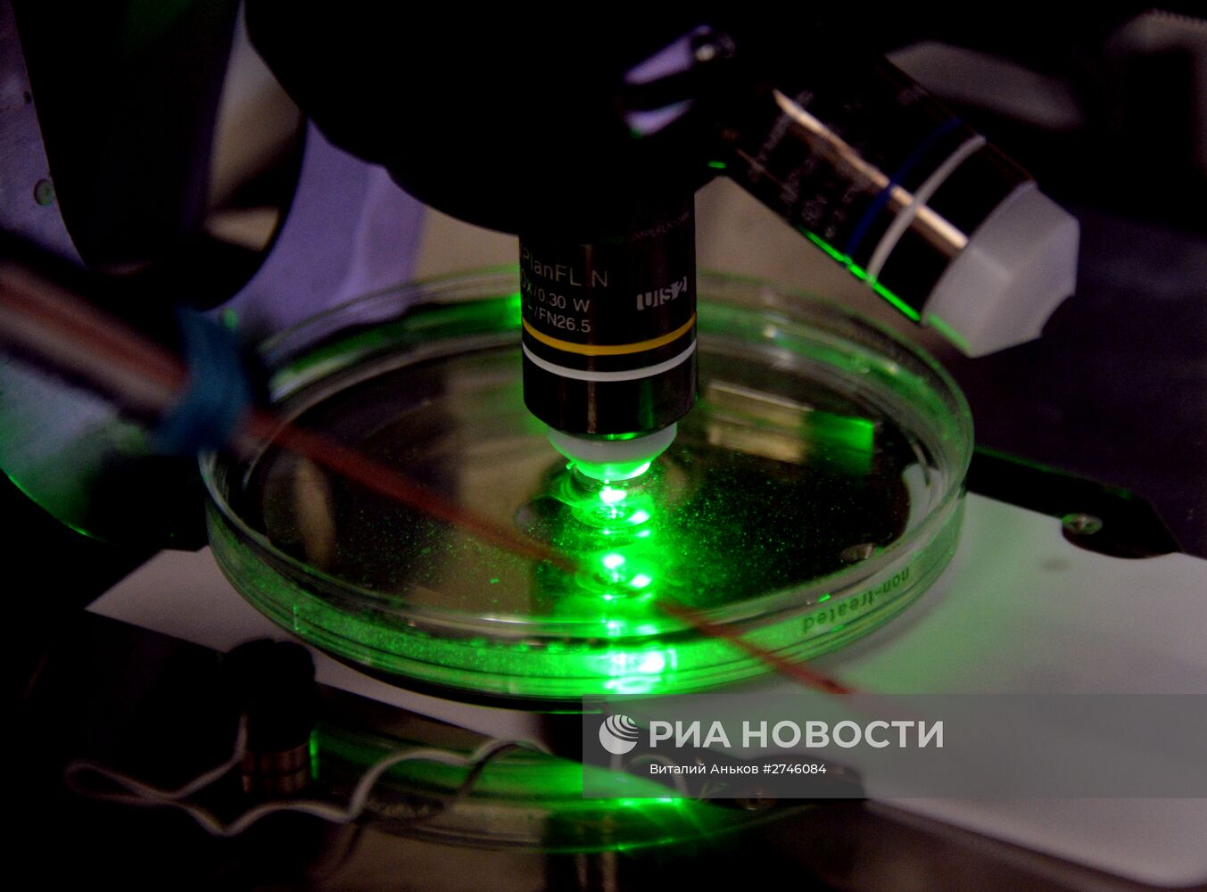 Лаборатория биомедицинских клеточных технологий во Владивостоке