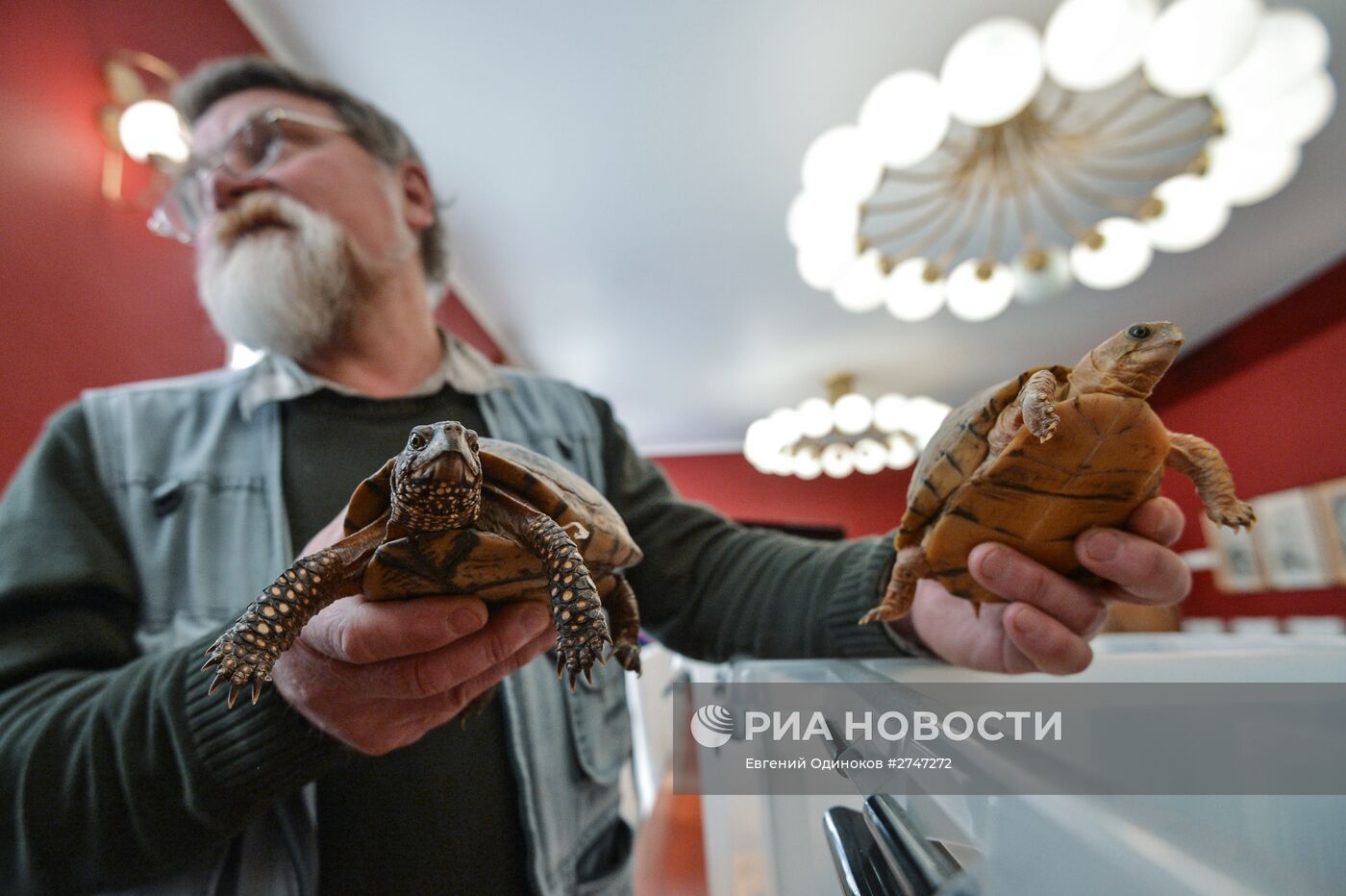 Передача черепах и змей от Центра передержки Департамента природопользования Московскому зоопарку